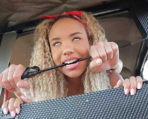 The Dominatrix and the Big D