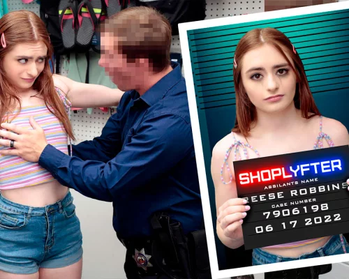 Case No. 7906198 - The Panty Thief