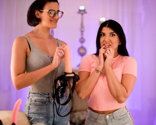 Lesbian Adventures Strap-On Specialists 15 Scene 2 - Back on The Scene