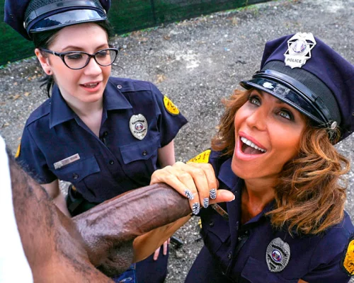 You Don’t Fuck The Law