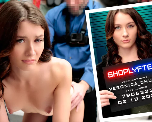 Case No. 7906233 - A Lazy Theft Attempt