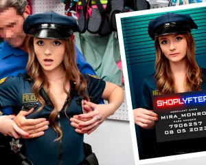 Case No. 7906257 - Haze Gone Wrong