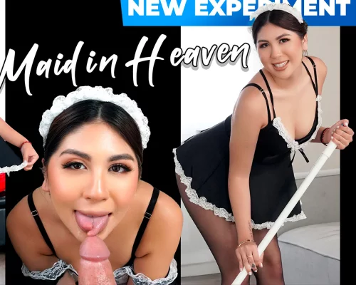 Concept Maid in Heaven