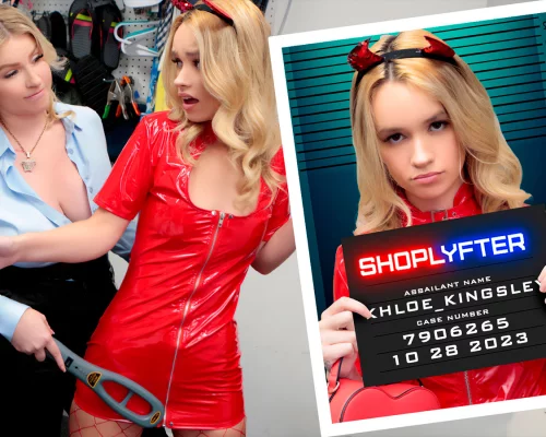 Case No. 7906265 - Trick-or-Shoplift