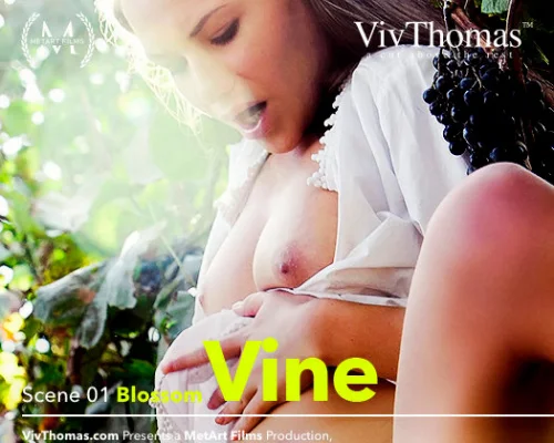 Vine Episode 1 - Blossom