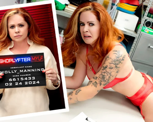 Case No. 6615433 - The Lingerie Thief