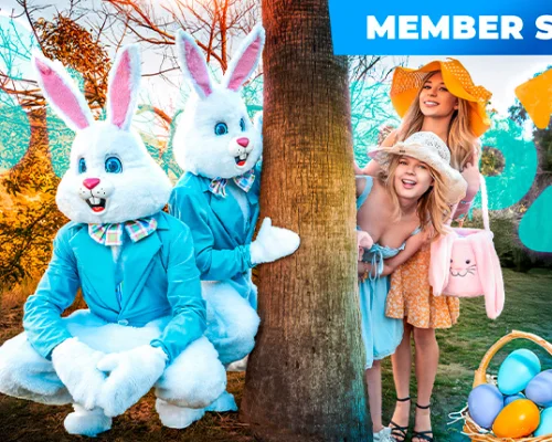 You Bang My Bunny, I’ll Bang Yours (Member Story)