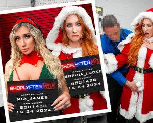 Case No. 8001438 - Ho Ho Holiday Thieves