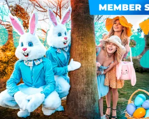 You Bang My Bunny, I’ll Bang Yours (Member Story)