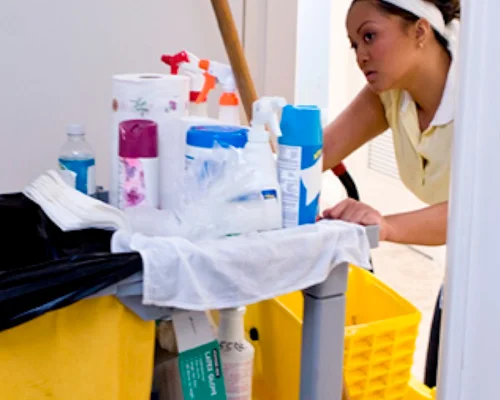Housekeeper's double pleasure