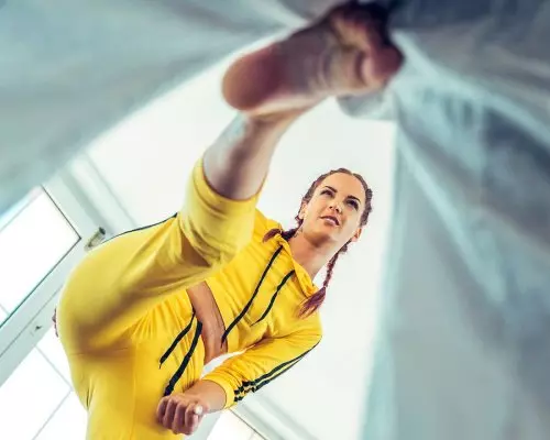 Kung Fu Fight School