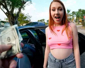 Side Of The Road Hoe